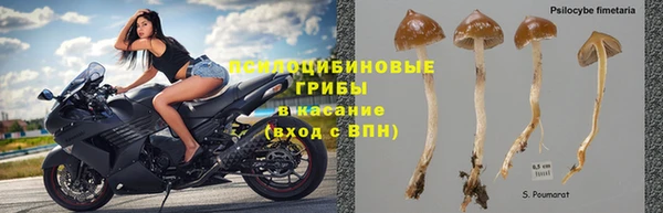 apvp Кулебаки