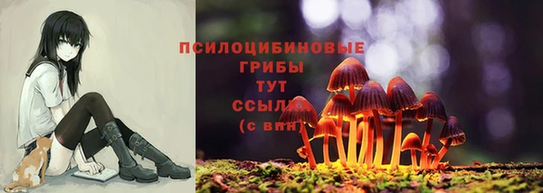 apvp Кулебаки
