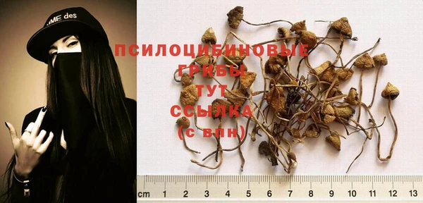 apvp Кулебаки