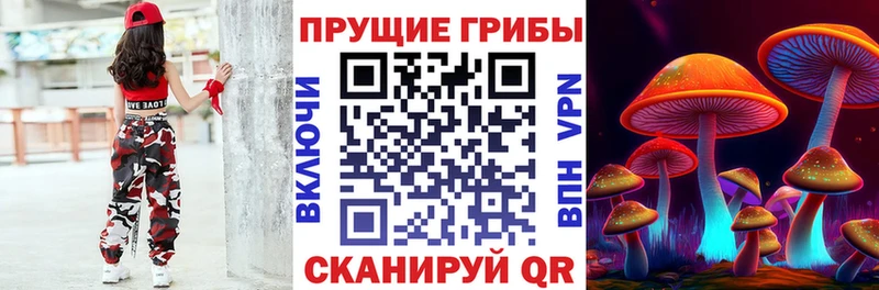 Купить  Бодайбо  Галлюциногенные грибы мицелий 